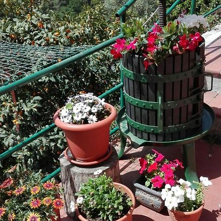 Casa Ofelia Villa Леванто Екстериор снимка